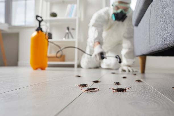 Post-Treatment Bed Bug Interceptor Monitoring in Tennessee Ridge