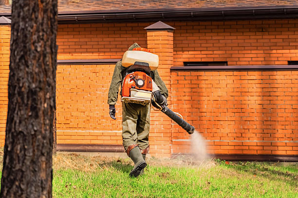 Bed Bug Clearance Verification and Documentation in Tennessee Ridge